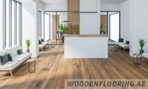 Schools & Nurseries Vinyl Flooring Parquet Flooring