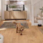 Read more about the article Best Wooden Flooring for Dubai’s Pet Owners (Scratch & Stain Resistant)