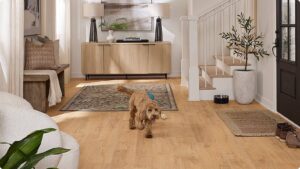 Read more about the article Best Wooden Flooring for Dubai’s Pet Owners (Scratch & Stain Resistant)