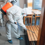 Read more about the article The Truth About Wooden Flooring and Dubai’s Pest Control Treatments