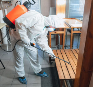 Read more about the article The Truth About Wooden Flooring and Dubai’s Pest Control Treatments